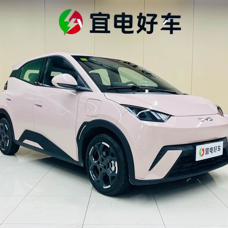 Seagull 2025 305km Freedom Edition Seagull 2025 305km Freedom Edition