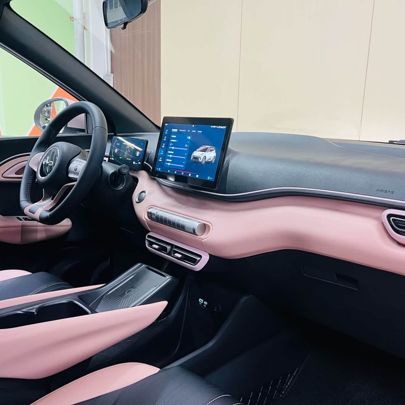 Seagull 2025 305km Freedom Edition Seagull 2025 305km Freedom Edition