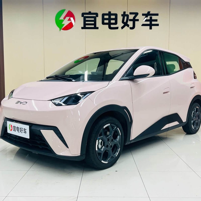 Seagull 2025 305km Freedom Edition