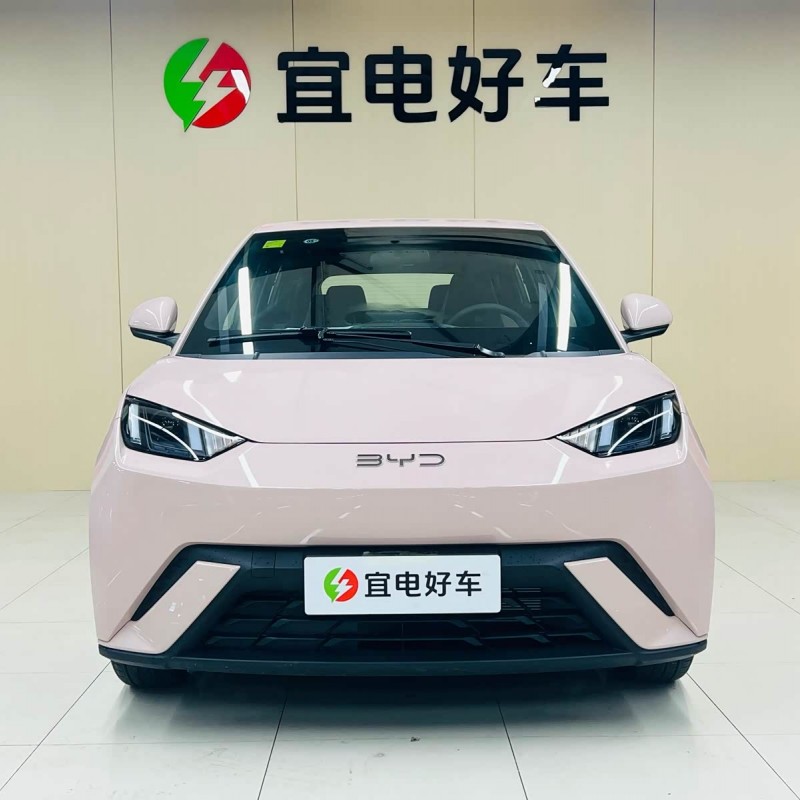 Seagull 2025 305km Freedom Edition Seagull 2025 305km Freedom Edition