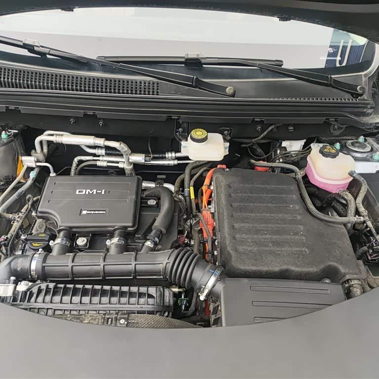 Song Pro New Energy 2025 Second Generation DM-i 115KM Excellence Edition Song Pro New Energy 2025 Second Generation DM-i 115KM Excellence Edition