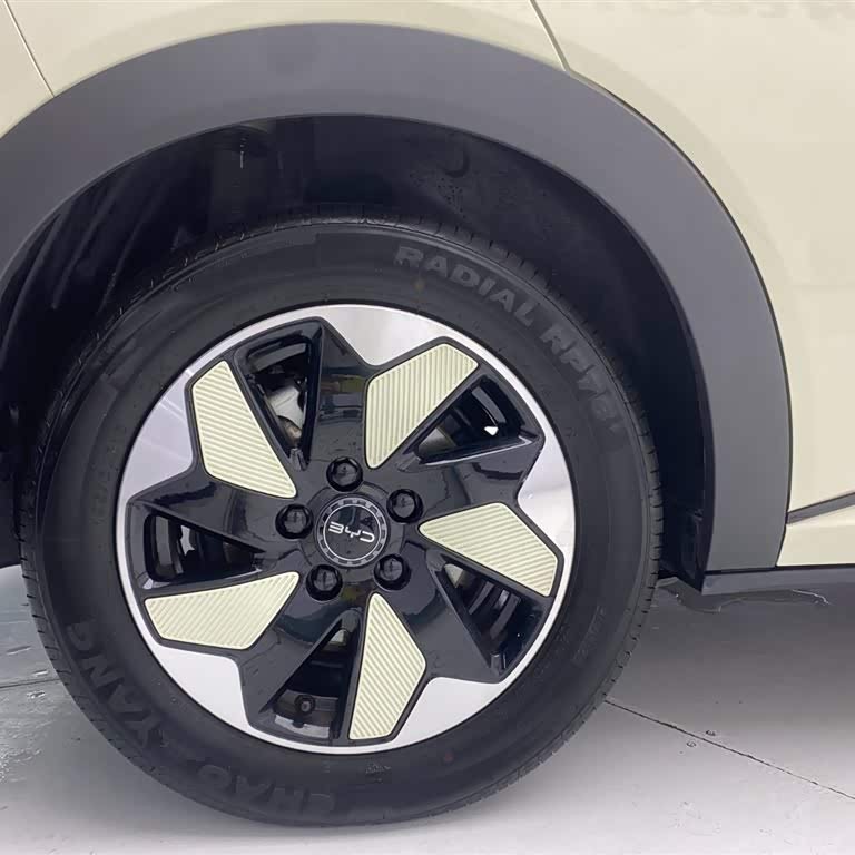 Dolphin 2024 Glory Edition 420km Freedom Edition Dolphin 2024 Glory Edition 420km Freedom Edition