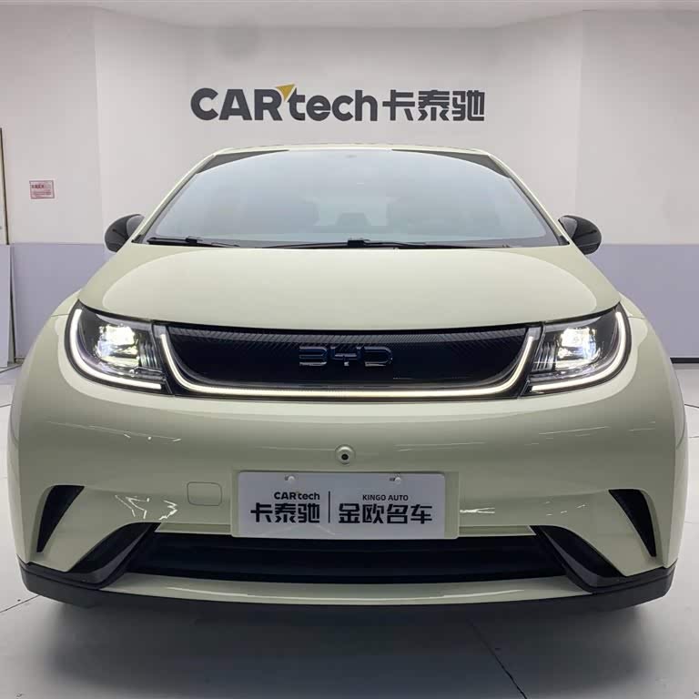 Dolphin 2024 Glory Edition 420km Freedom Edition Dolphin 2024 Glory Edition 420km Freedom Edition