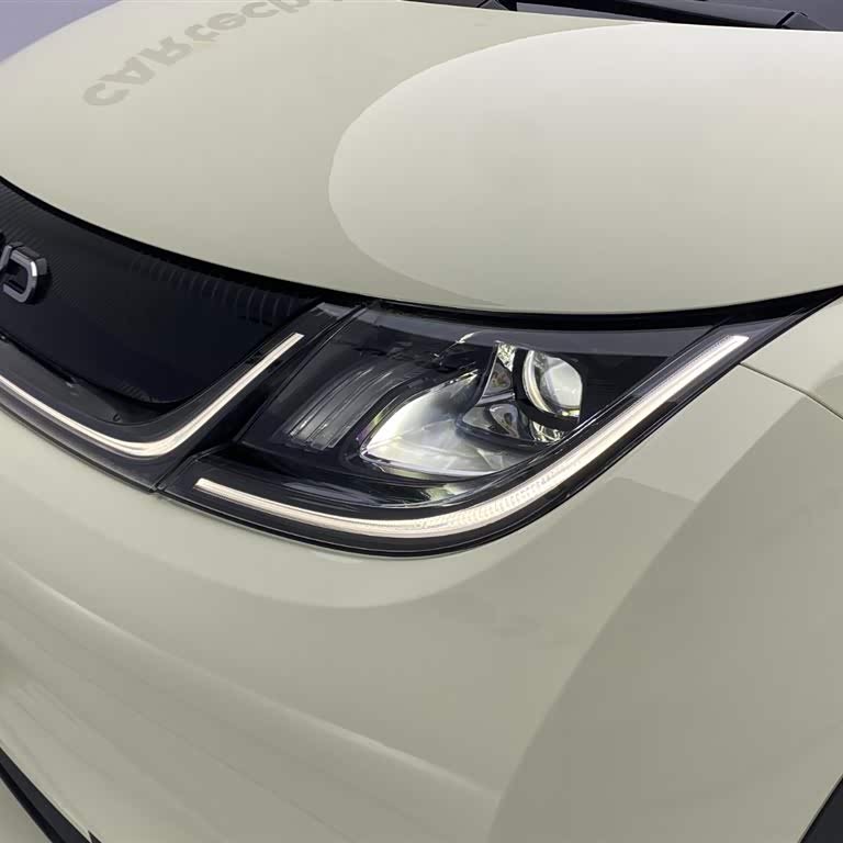 Dolphin 2024 Glory Edition 420km Freedom Edition Dolphin 2024 Glory Edition 420km Freedom Edition