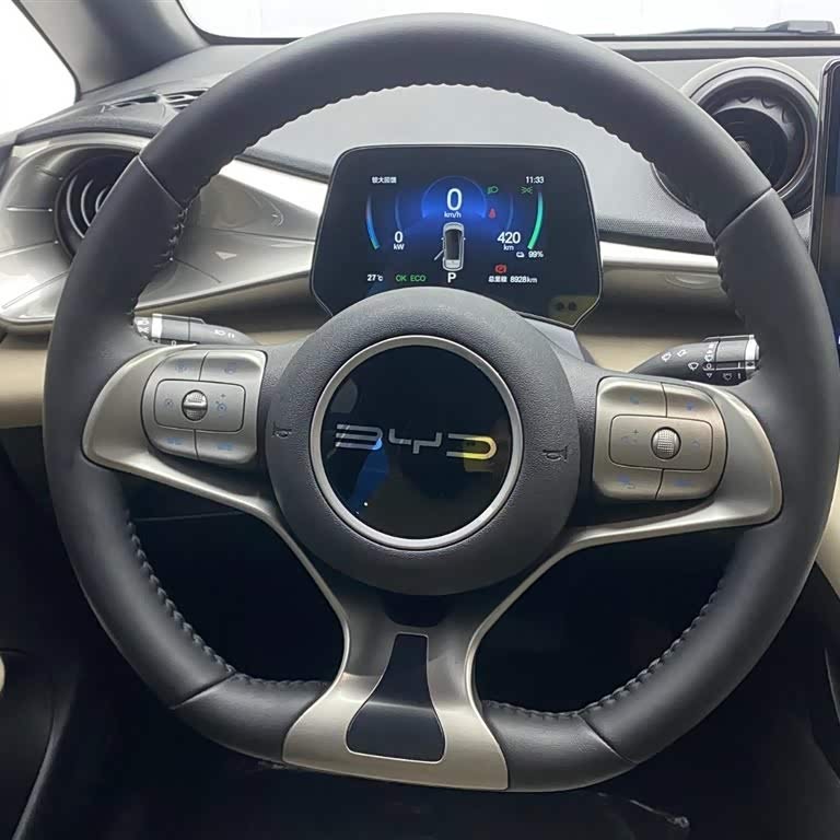 Dolphin 2024 Glory Edition 420km Freedom Edition Dolphin 2024 Glory Edition 420km Freedom Edition