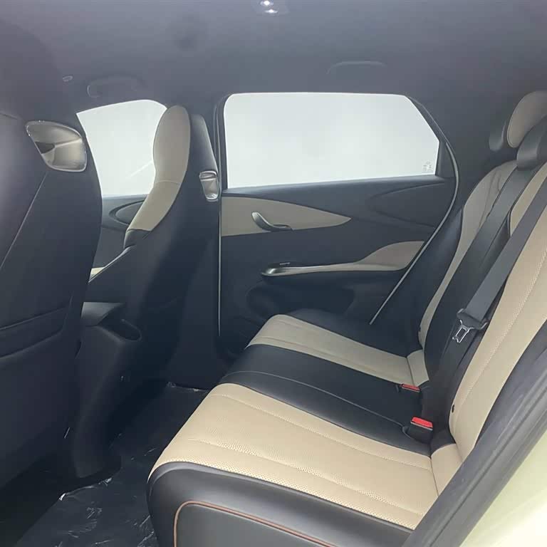 Dolphin 2024 Glory Edition 420km Freedom Edition Dolphin 2024 Glory Edition 420km Freedom Edition