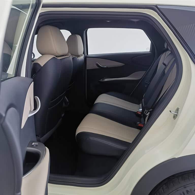 Dolphin 2025 Smart Driving Edition 410km Fashion Edition Dolphin 2025 Smart Driving Edition 410km Fashion Edition
