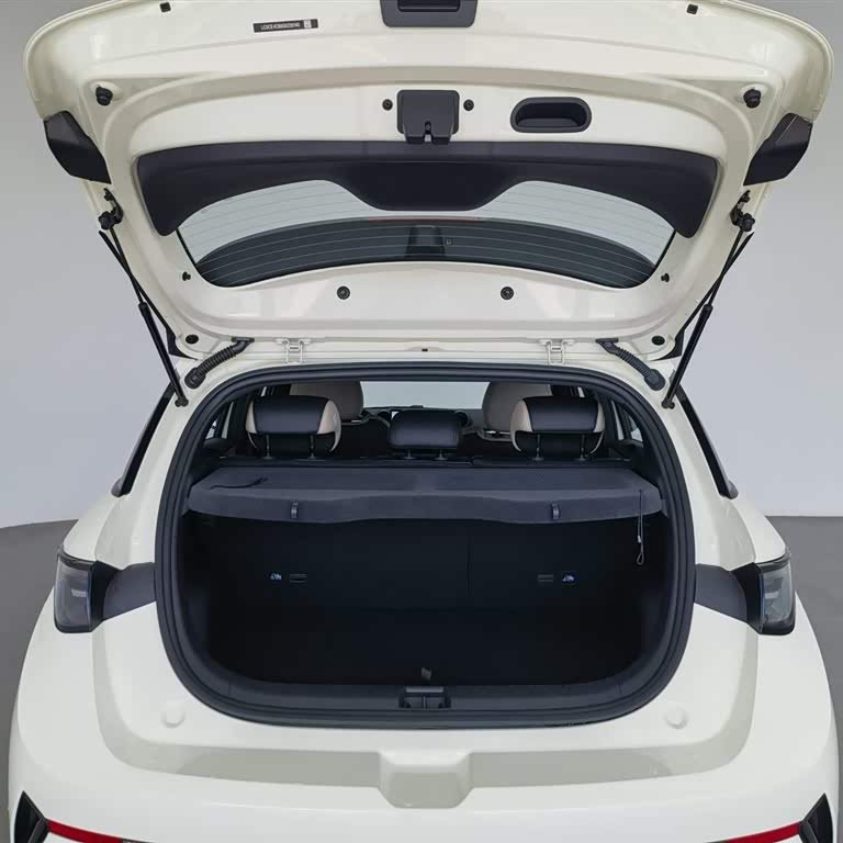 Dolphin 2025 Smart Driving Edition 410km Fashion Edition Dolphin 2025 Smart Driving Edition 410km Fashion Edition