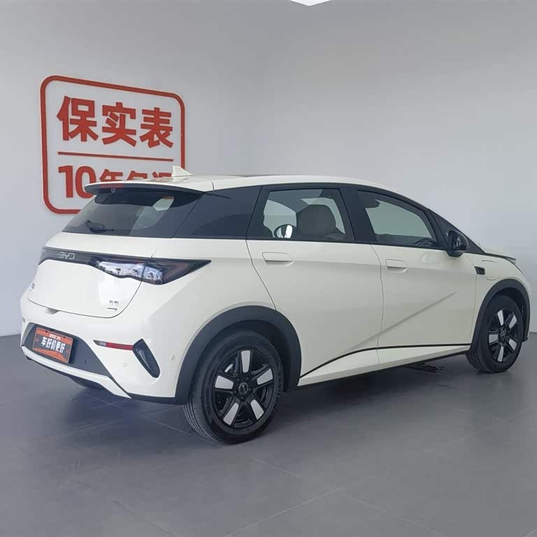 Dolphin 2025 Smart Driving Edition 410km Fashion Edition Dolphin 2025 Smart Driving Edition 410km Fashion Edition