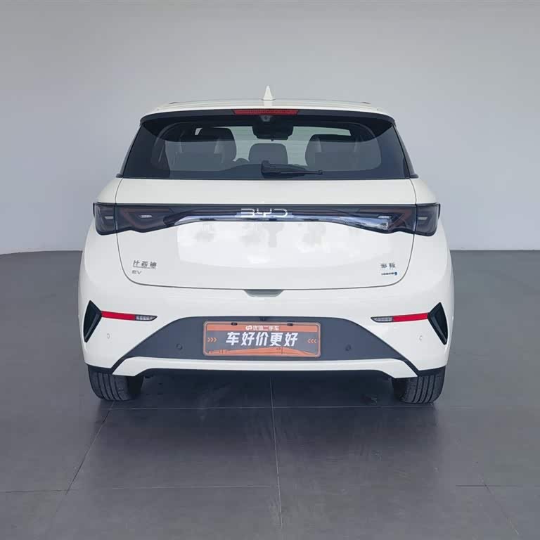 Dolphin 2025 Smart Driving Edition 410km Fashion Edition Dolphin 2025 Smart Driving Edition 410km Fashion Edition