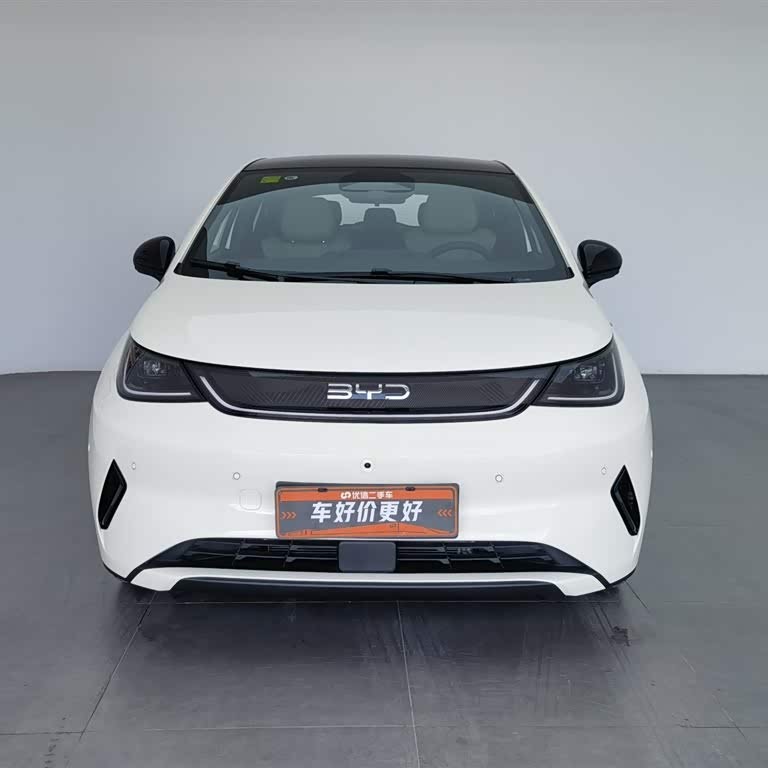 Dolphin 2025 Smart Driving Edition 410km Fashion Edition Dolphin 2025 Smart Driving Edition 410km Fashion Edition