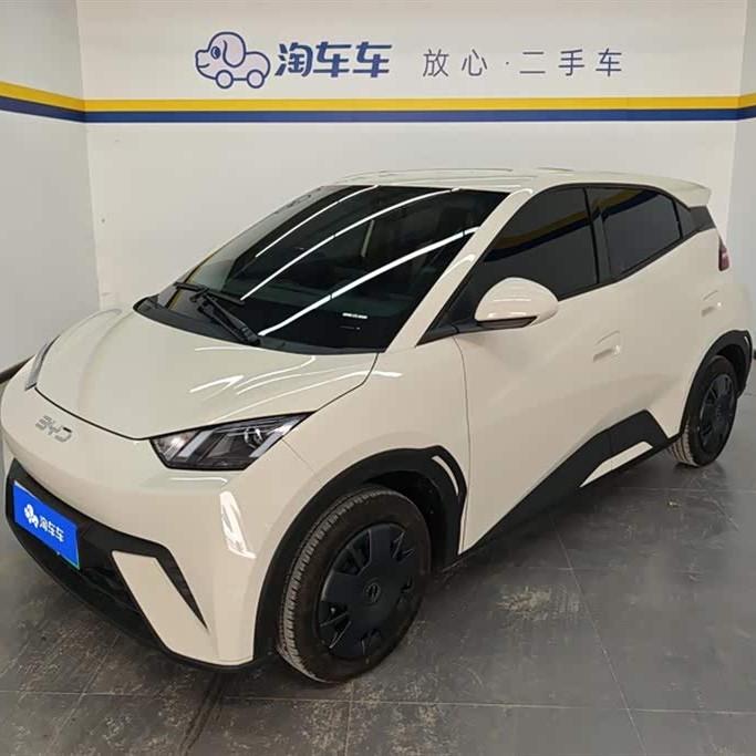 Seagull 2025 305km Vitality Edition Seagull 2025 305km Vitality Edition