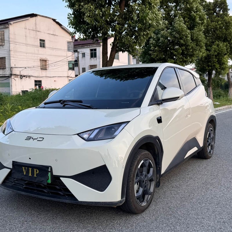 Seagull 2025 305km Freedom Edition