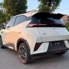 Seagull 2025 305km Freedom Edition