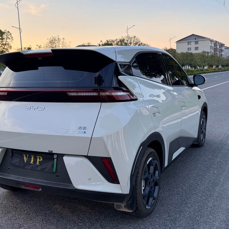 Seagull 2025 305km Freedom Edition Seagull 2025 305km Freedom Edition