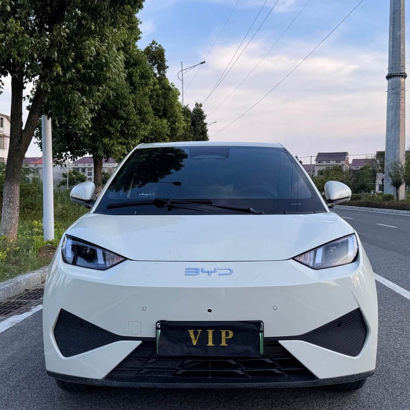 Seagull 2025 305km Freedom Edition Seagull 2025 305km Freedom Edition