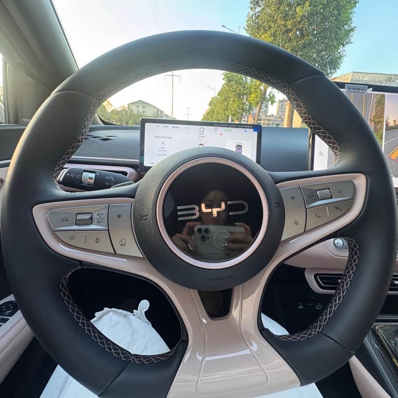 Seagull 2025 305km Freedom Edition Seagull 2025 305km Freedom Edition
