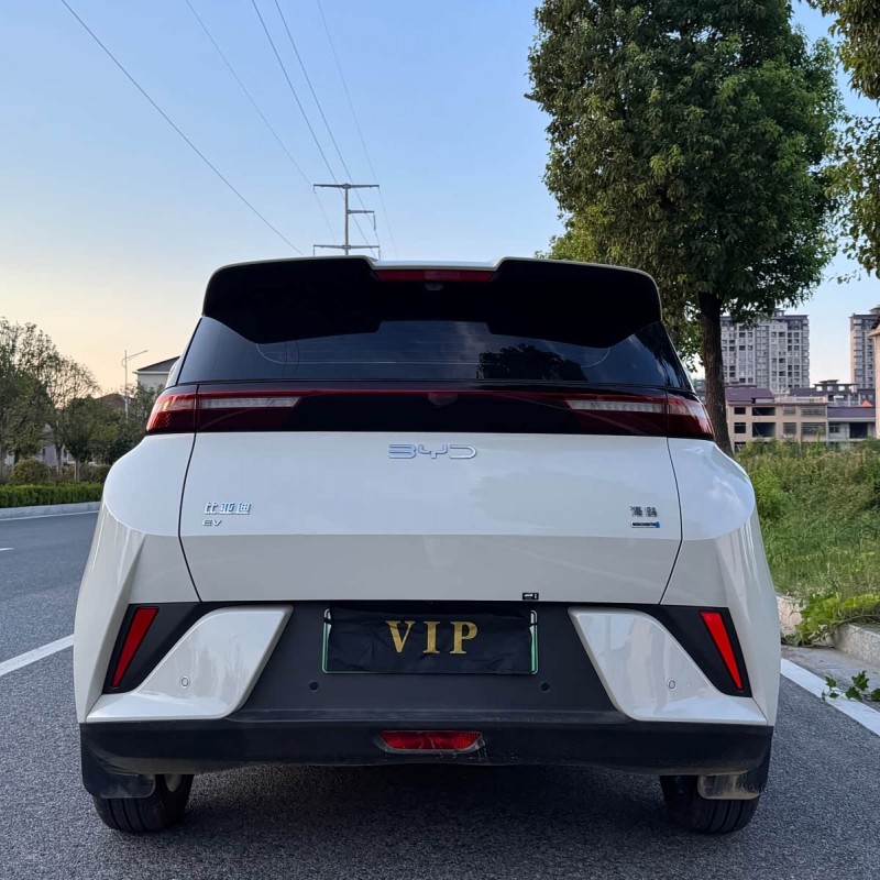 Seagull 2025 305km Freedom Edition Seagull 2025 305km Freedom Edition