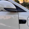 Seagull 2025 305km Freedom Edition
