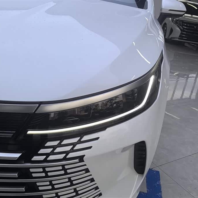 Destroyer 05 2023 Champion Edition DM-i 120KM Premium Destroyer 05 2023 Champion Edition DM-i 120KM Premium