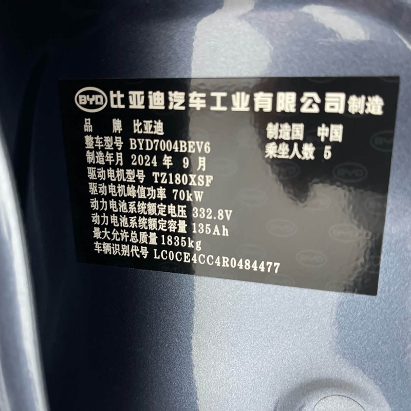 Dolphin 2025 420km Fashion Edition Dolphin 2025 420km Fashion Edition
