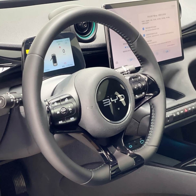 Dolphin 2025 420km Fashion Edition Dolphin 2025 420km Fashion Edition