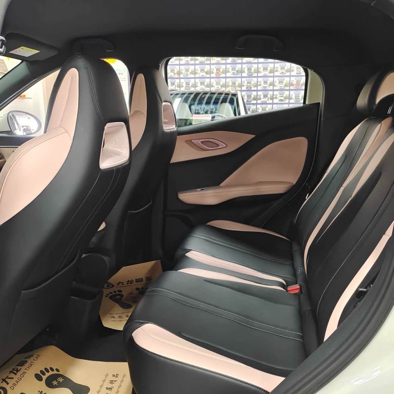 Seagull 2025 305km Freedom Edition Seagull 2025 305km Freedom Edition