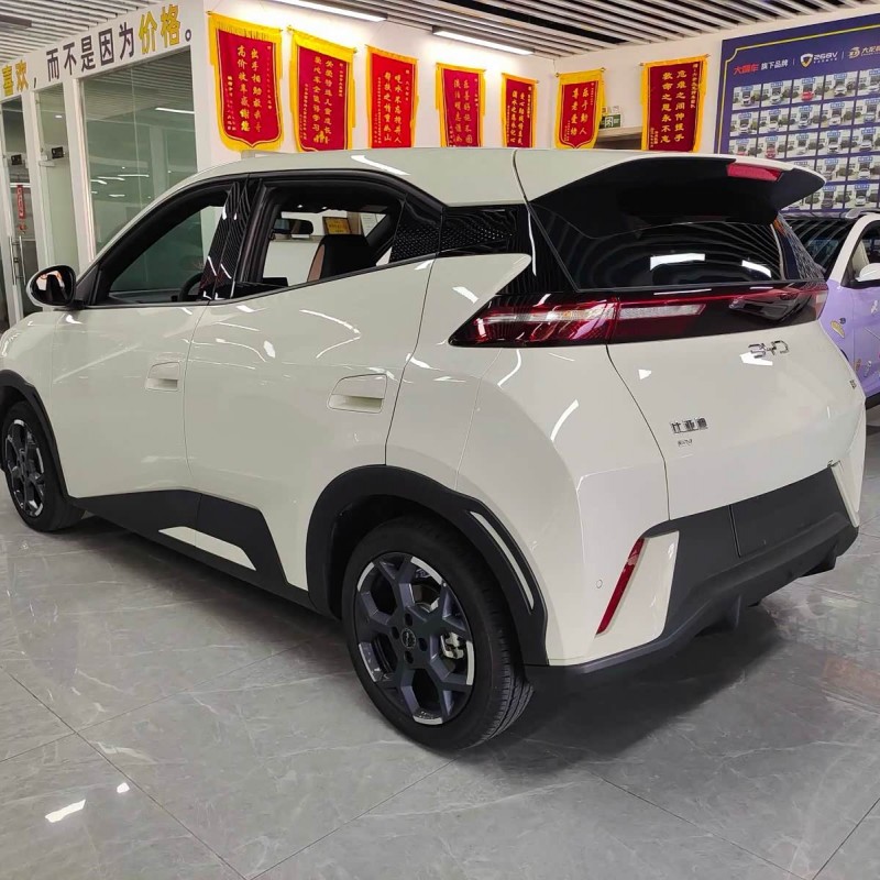 Seagull 2025 305km Freedom Edition Seagull 2025 305km Freedom Edition