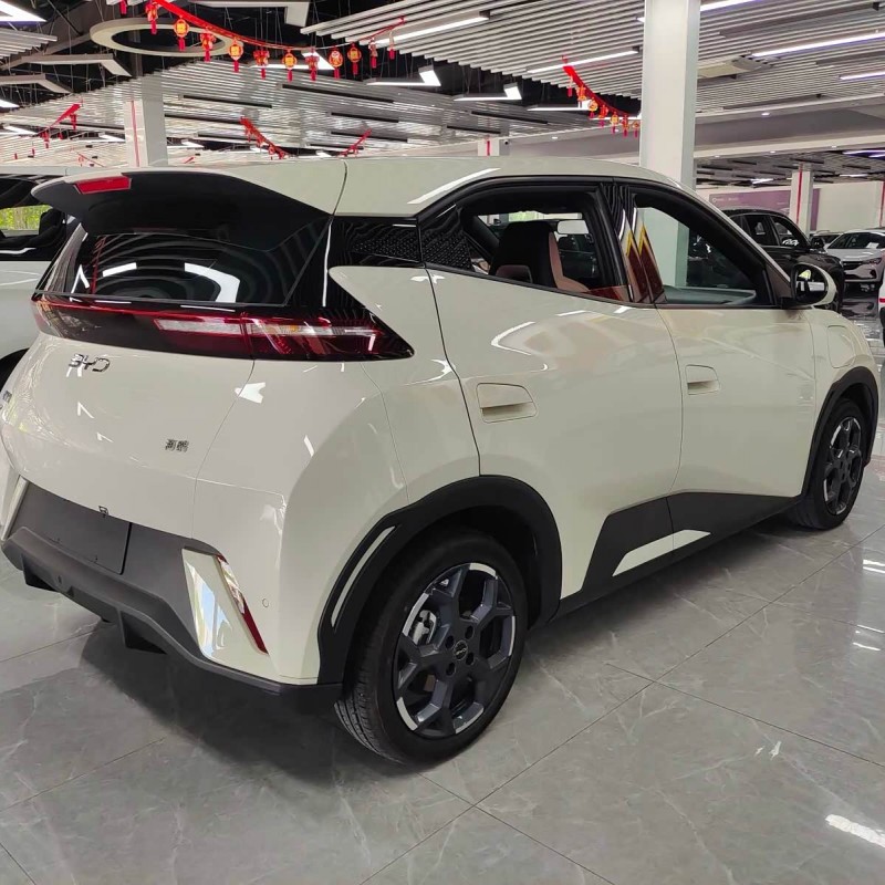 Seagull 2025 305km Freedom Edition Seagull 2025 305km Freedom Edition