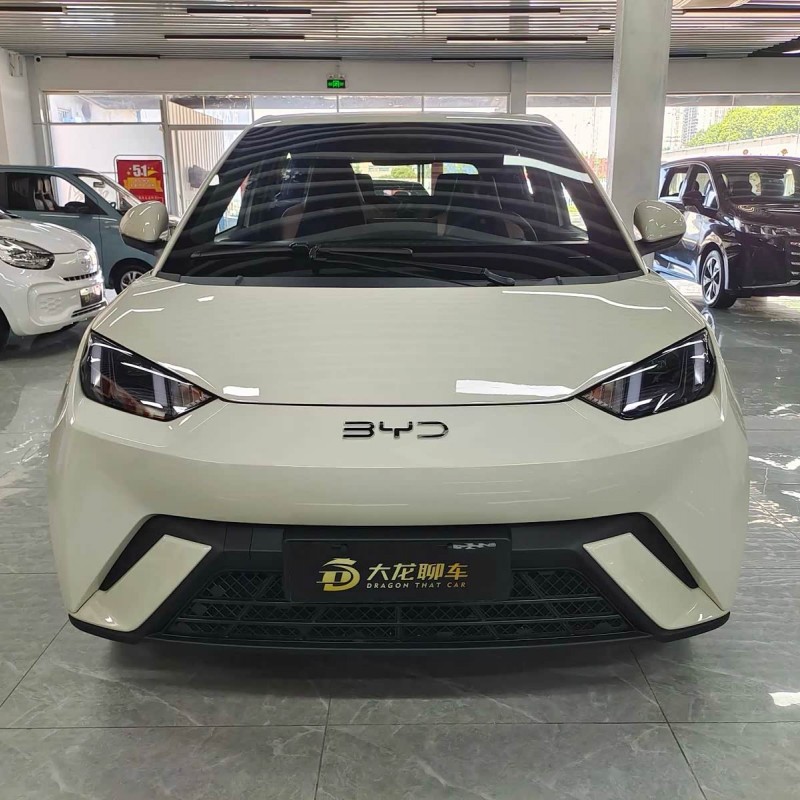 Seagull 2025 305km Freedom Edition