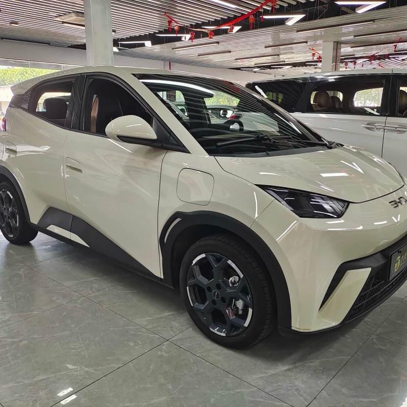 Seagull 2025 305km Freedom Edition Seagull 2025 305km Freedom Edition