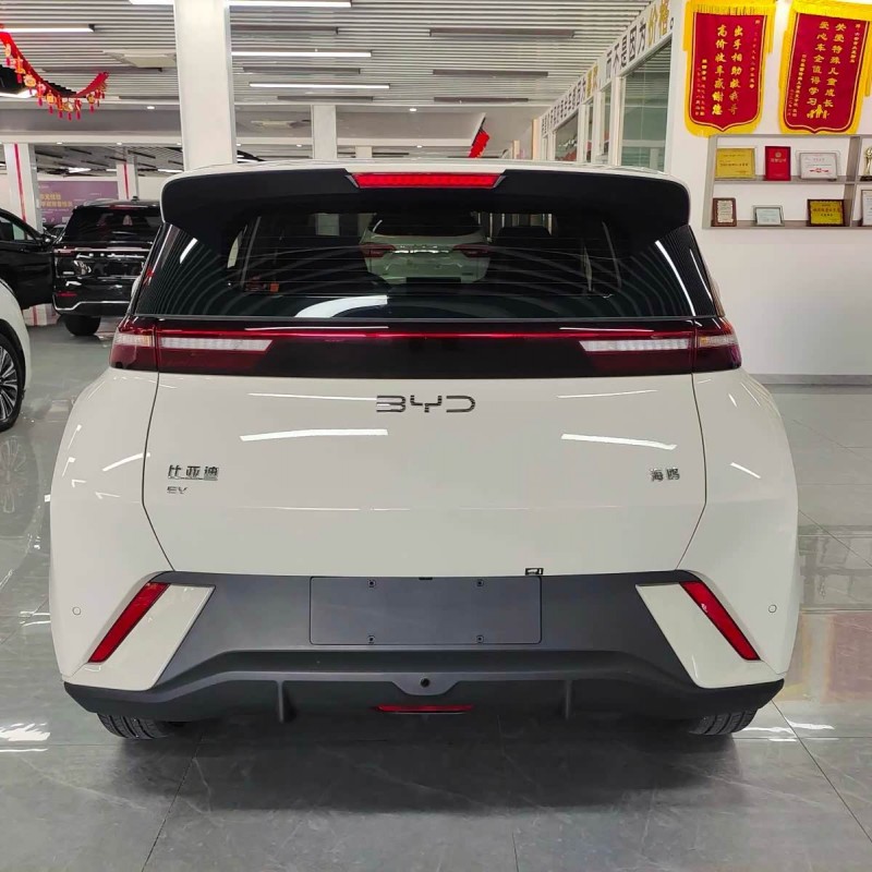Seagull 2025 305km Freedom Edition Seagull 2025 305km Freedom Edition
