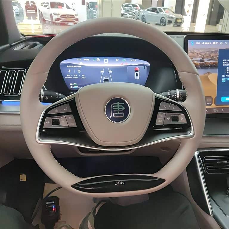 Tang New Energy 2025 DM-i 115KM Flagship Model Tang New Energy 2025 DM-i 115KM Flagship Model