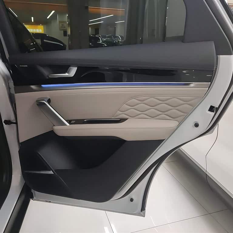 Tang New Energy 2025 DM-i 115KM Flagship Model Tang New Energy 2025 DM-i 115KM Flagship Model