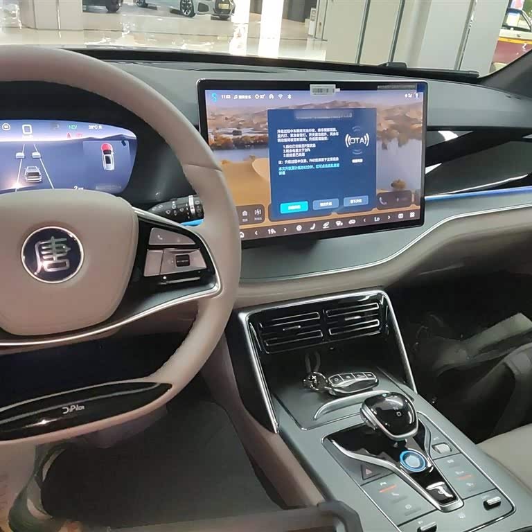 Tang New Energy 2025 DM-i 115KM Flagship Model Tang New Energy 2025 DM-i 115KM Flagship Model