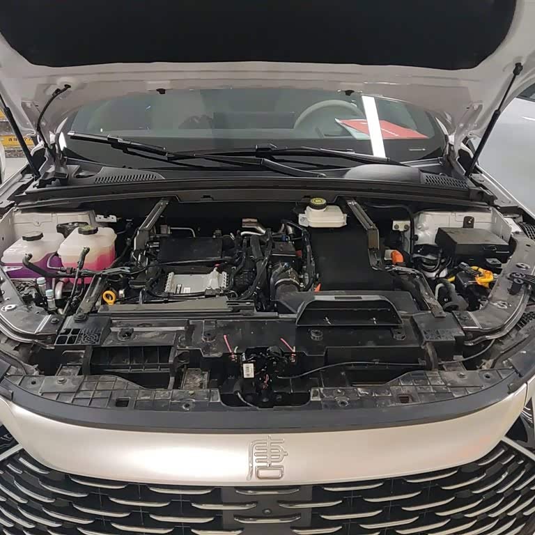 Tang New Energy 2025 DM-i 115KM Flagship Model Tang New Energy 2025 DM-i 115KM Flagship Model