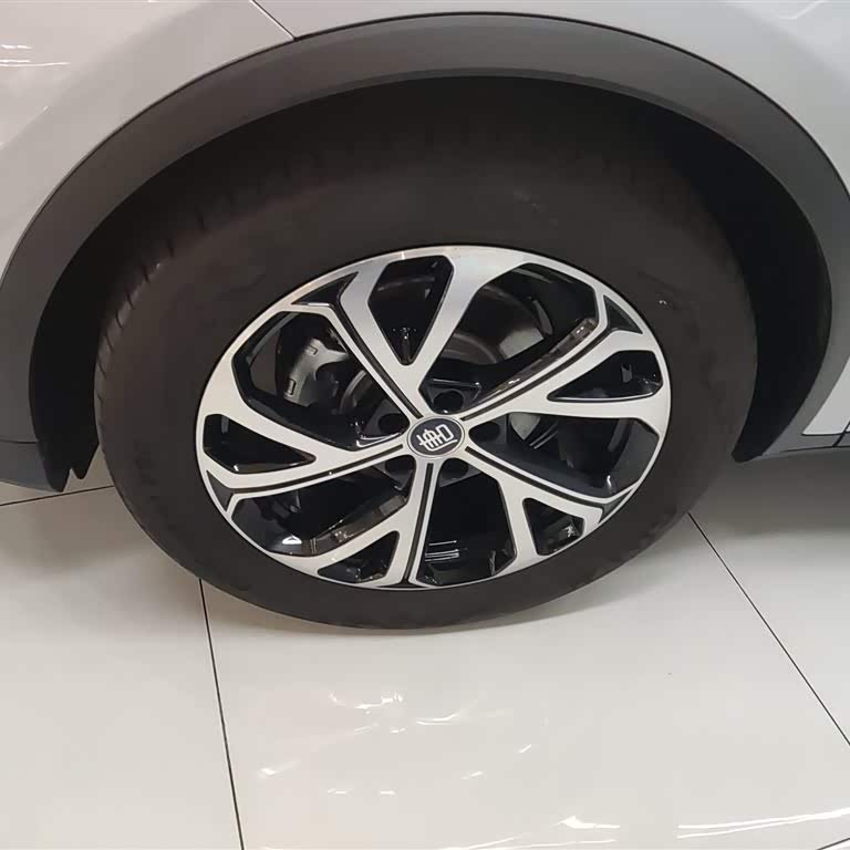 Tang New Energy 2025 DM-i 115KM Flagship Model Tang New Energy 2025 DM-i 115KM Flagship Model