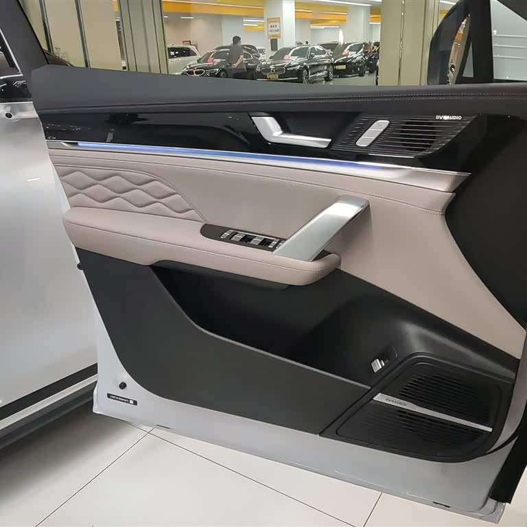 Tang New Energy 2025 DM-i 115KM Flagship Model Tang New Energy 2025 DM-i 115KM Flagship Model