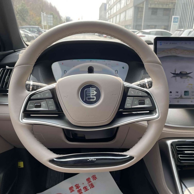 Tang New Energy 2024 DM-i Honor Edition 112KM Flagship Model Tang New Energy 2024 DM-i Honor Edition 112KM Flagship Model