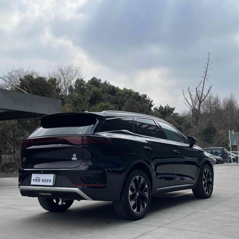 Tang New Energy 2024 DM-i Honor Edition 112KM Flagship Model Tang New Energy 2024 DM-i Honor Edition 112KM Flagship Model