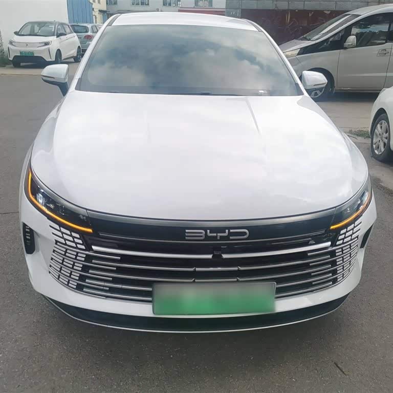 Destroyer 05 2024 Glory Edition DM-i 55KM Luxury Model Destroyer 05 2024 Glory Edition DM-i 55KM Luxury Model
