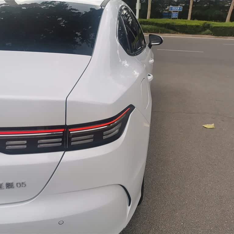 Destroyer 05 2024 Glory Edition DM-i 55KM Luxury Model Destroyer 05 2024 Glory Edition DM-i 55KM Luxury Model