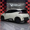 Seagull 2025 305km Vitality Edition