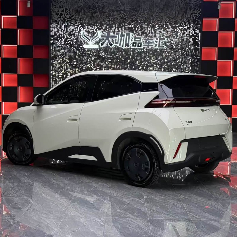 Seagull 2025 305km Vitality Edition Seagull 2025 305km Vitality Edition