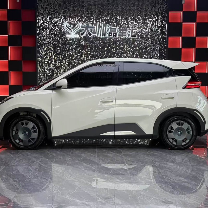 Seagull 2025 305km Vitality Edition Seagull 2025 305km Vitality Edition