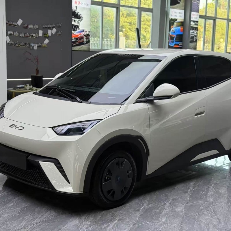 Seagull 2025 305km Vitality Edition Seagull 2025 305km Vitality Edition