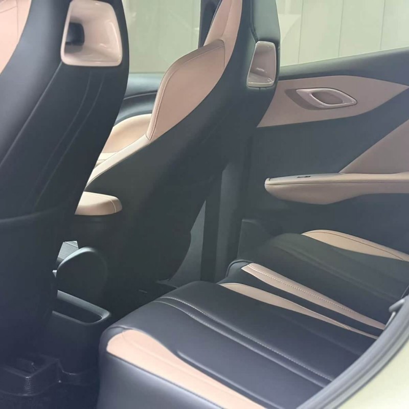 Seagull 2025 305km Vitality Edition Seagull 2025 305km Vitality Edition