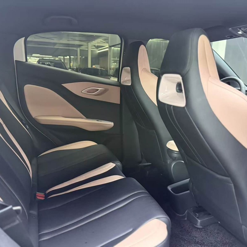 Seagull 2025 305km Vitality Edition Seagull 2025 305km Vitality Edition