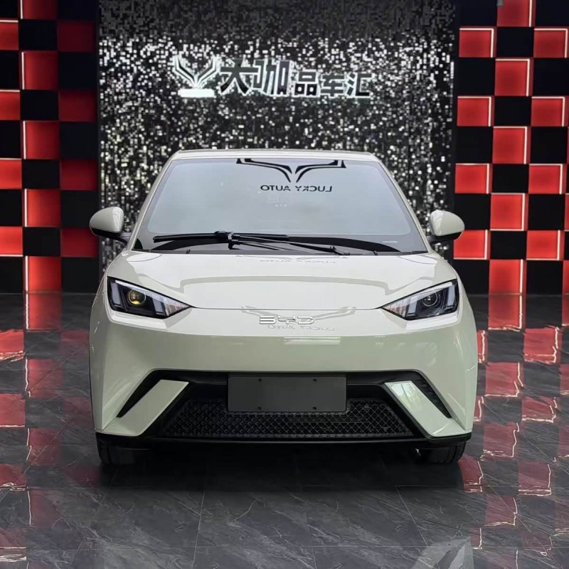 Seagull 2025 305km Vitality Edition Seagull 2025 305km Vitality Edition