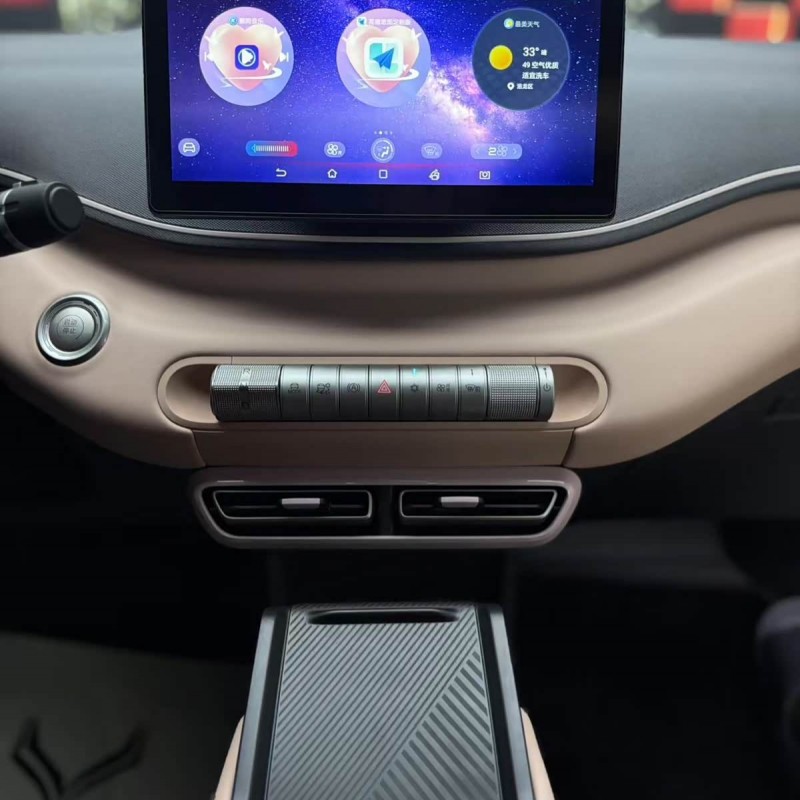 Seagull 2025 305km Vitality Edition Seagull 2025 305km Vitality Edition